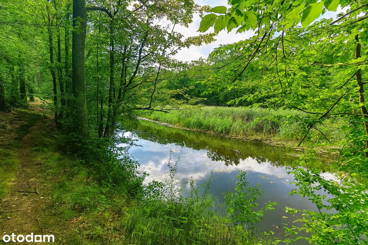 Twój dom wśród natury – działka 800m² przy rzece Wełnie-10