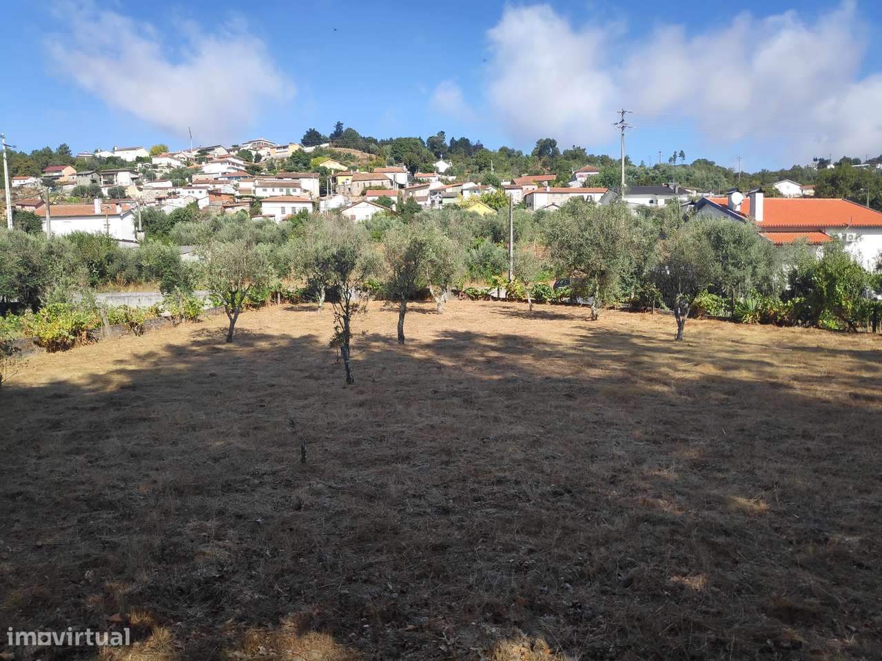 Excelente Terreno para Construção - Grande imagem: 5/8