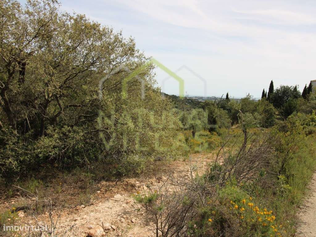 Terreno Rústico com Vista Mar em Fialho, Estoi - Grande imagem: 3/7