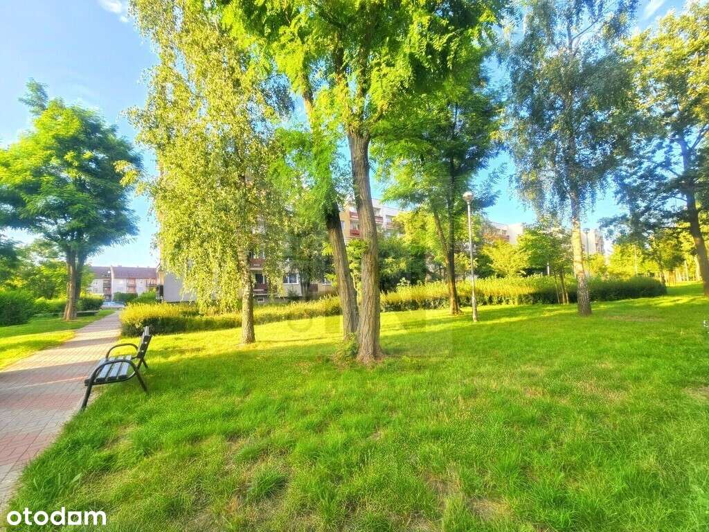 Okazja!!! 2 piętro | Balkon | Pasaż Północ-10