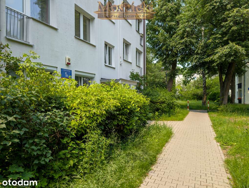 2 poziomowe mieszkanie 3 pokoje w sercu Anina-15