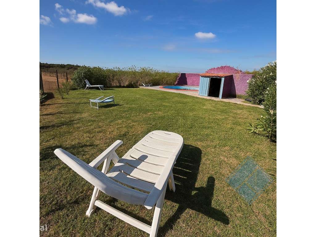 Monte Alentejano com Piscina, Vinha e Árvores de Fruto-10