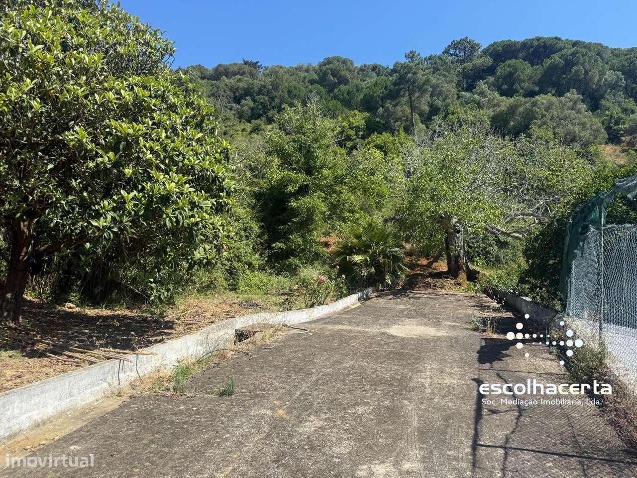 Quinta unica em pleno coração da Arrabida-57