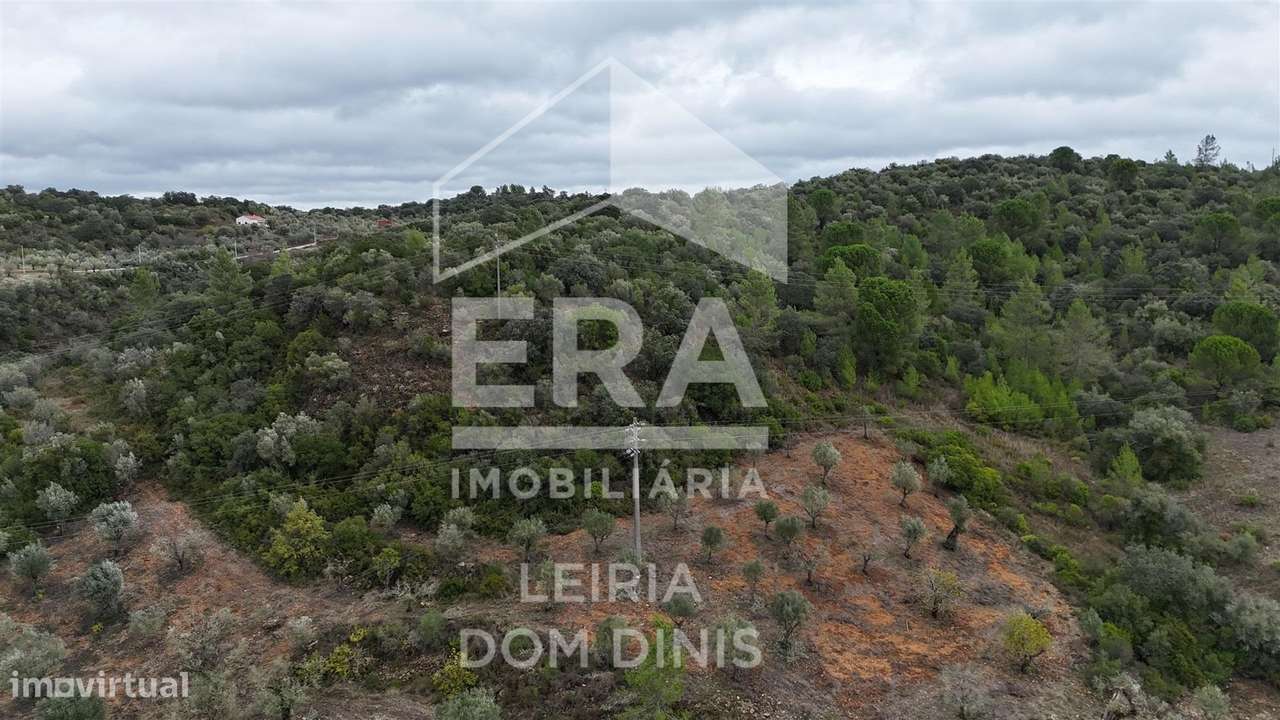 Terreno rústico de 20.200m² com acesso asfaltado e boas vistas - Grande imagem: 5/9