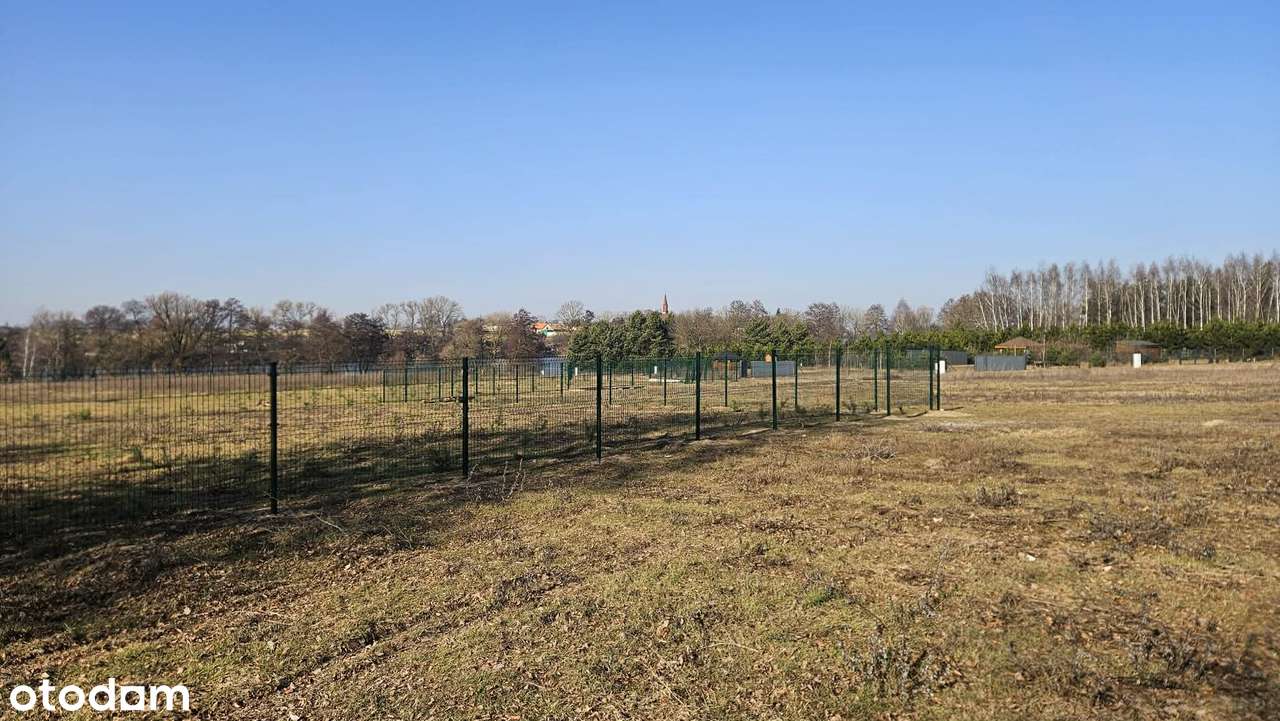 Działka nad jeziorem , Niedźwiady okolice Rogowo/Izdebno - Pełny obrazek: 5/5