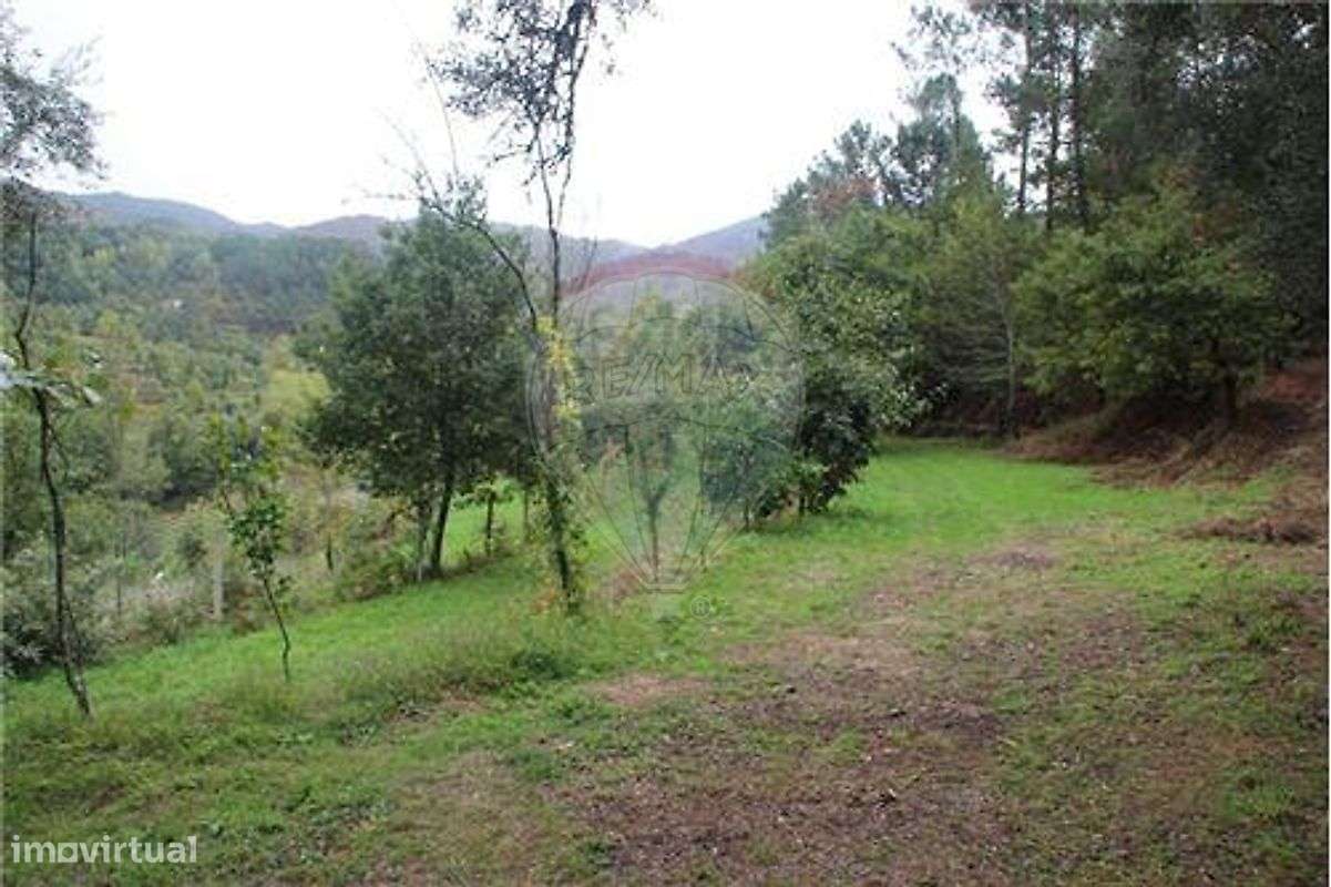 Terreno  para venda - Grande imagem: 4/9