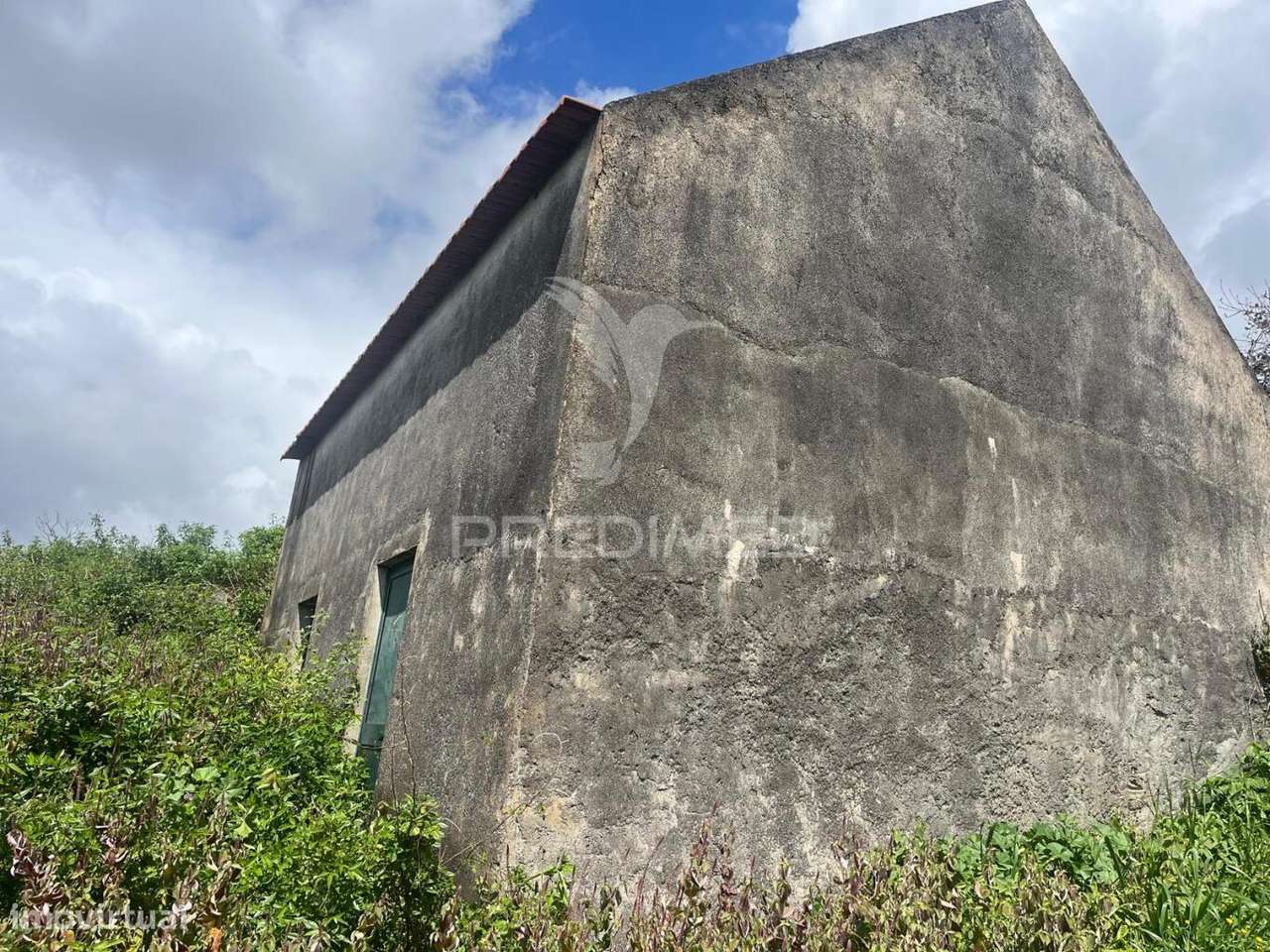 VENDO TERRENO E PALHEIRO NA CALHETA - Grande imagem: 4/6