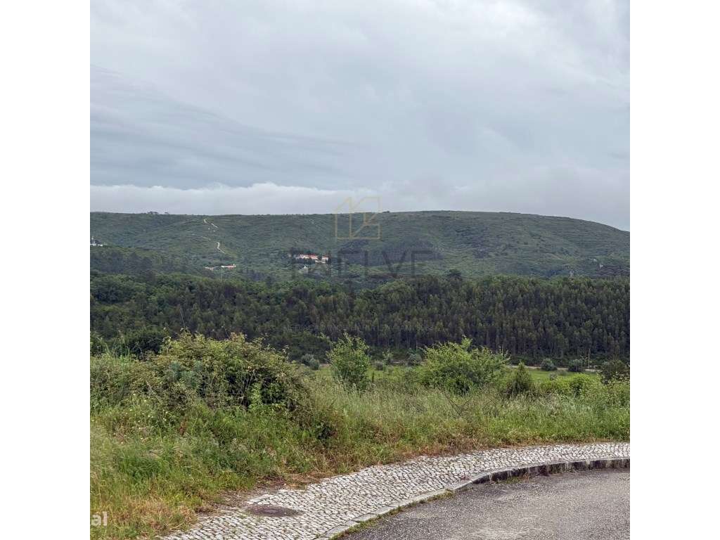 Moradia T3 e T3+1 Nova, em Porto de Mós, Leiria-13