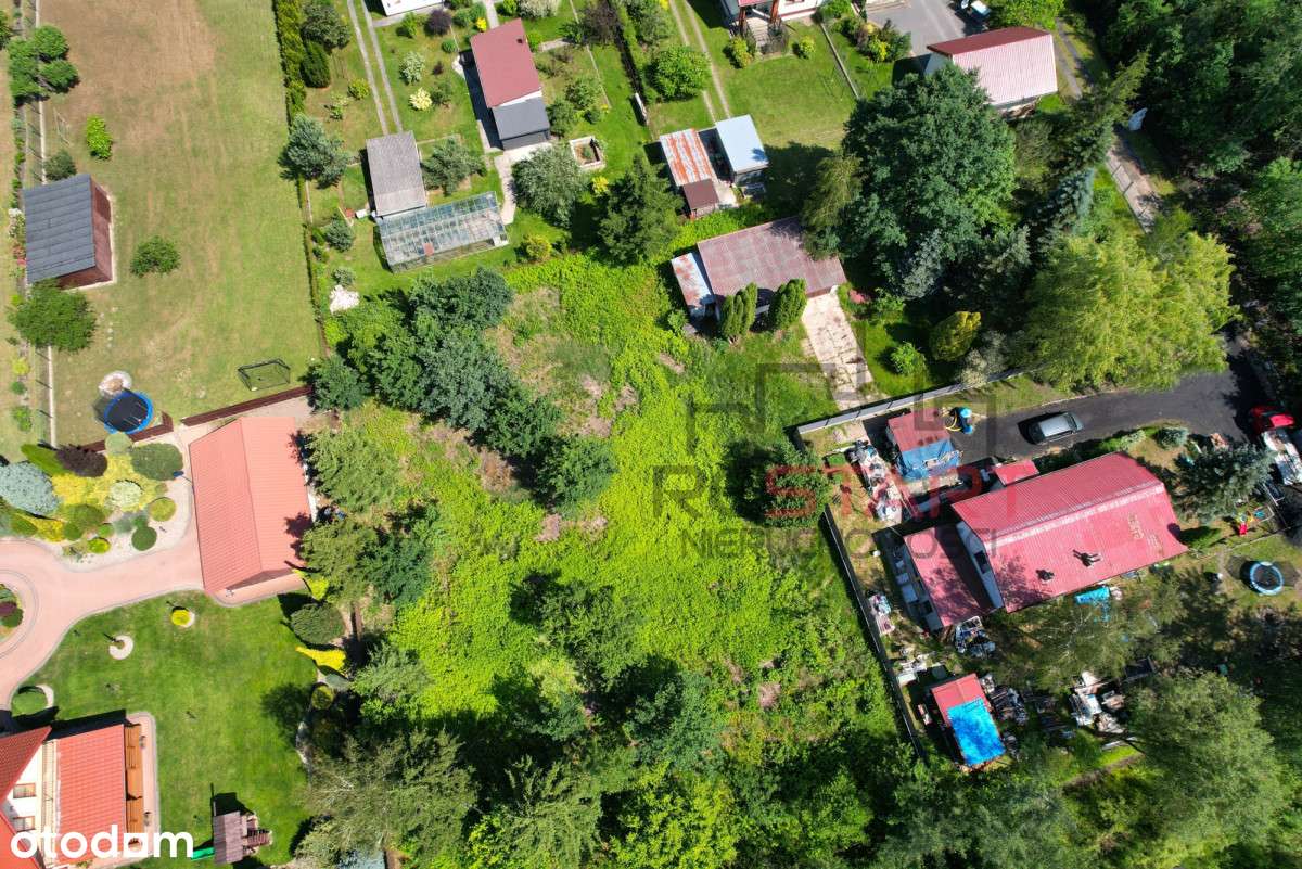 Duża w Kozerkach - wydane Wz! - Pełny obrazek: 4/7