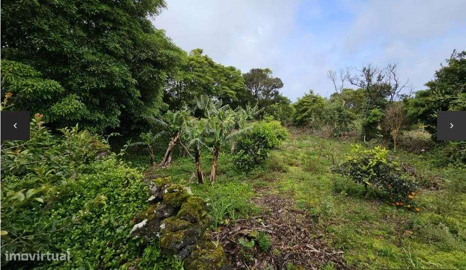 Terreno urbanizável na Ilha do Pico - Grande imagem: 2/3