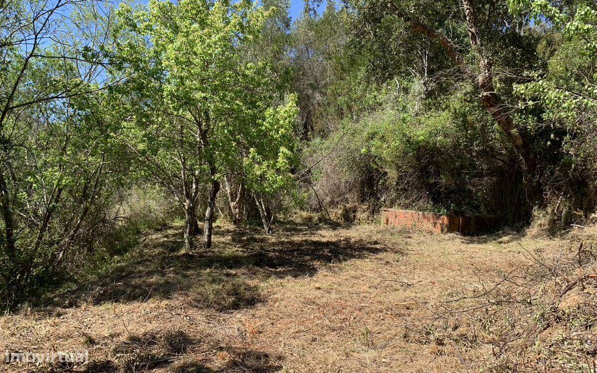 Terreno rústico - Grande imagem: 5/7