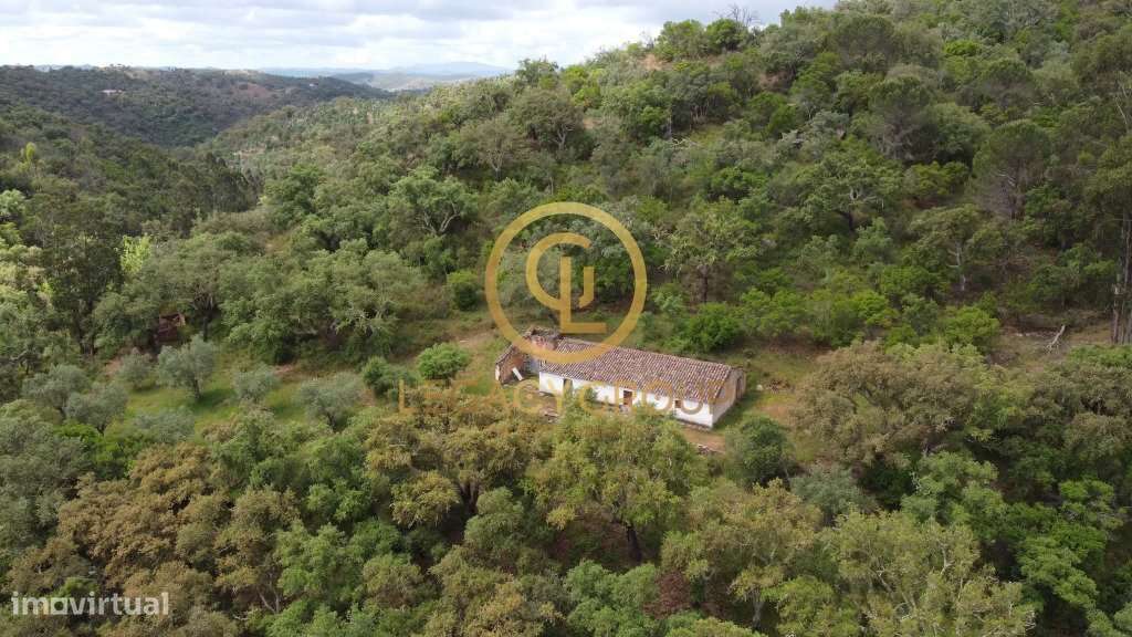 Quinta de 6 hectares perto de São Martinho das Amoreiras-21
