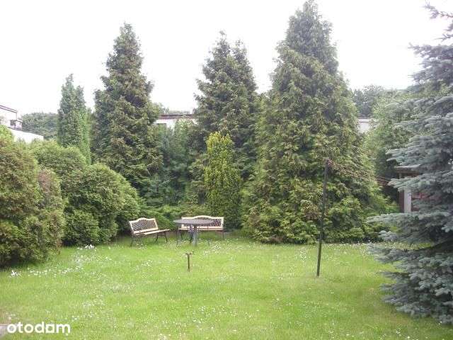 Dom wolnostojący - Gdynia Witomino Leśniczówka - Pełny obrazek: 4/8