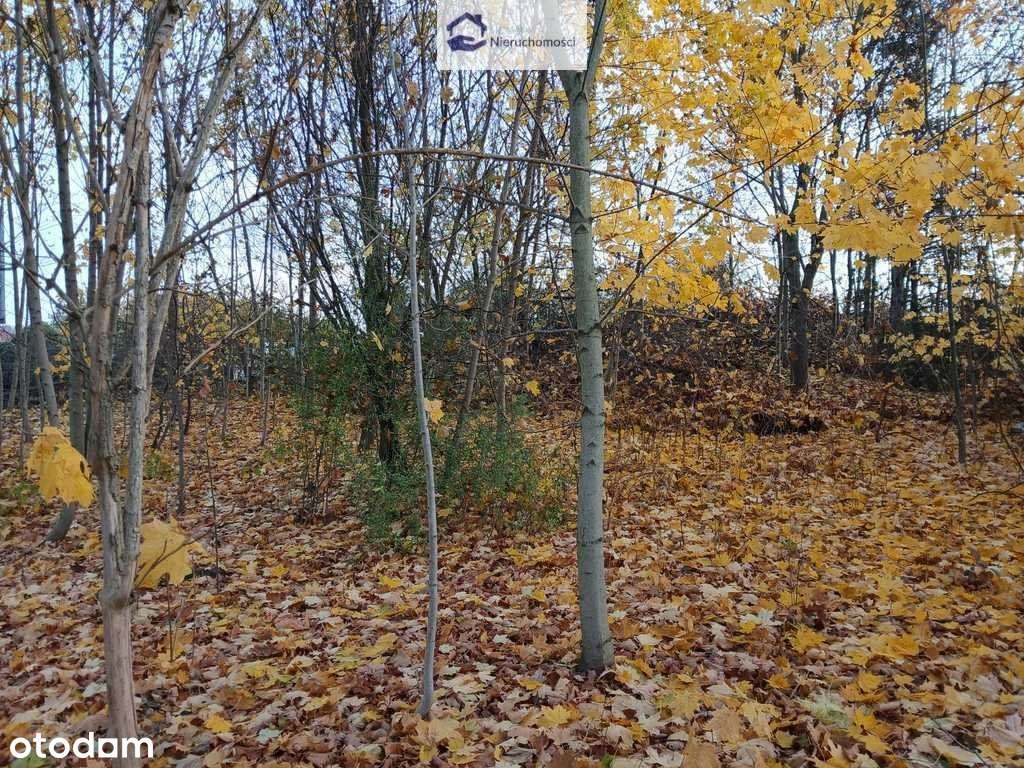 Rudnik * blisko ul. Dożynkowej *blisko Ikea-8