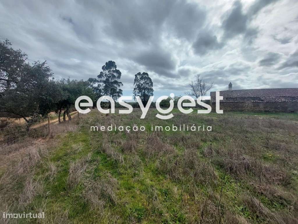 Monte Alentejano para recuperar localizado na freguesia de Ourique - Grande imagem: 2/15