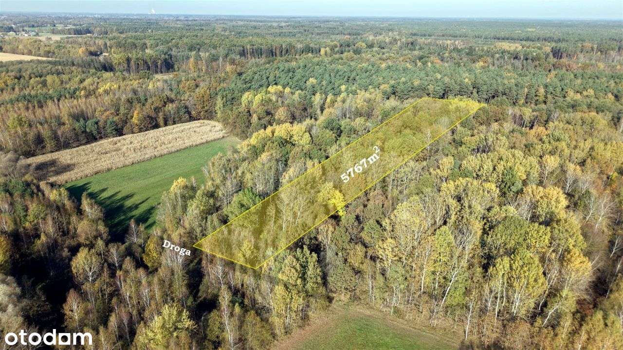 Duża zadrzewiona działka nieopodal Wkry.-14