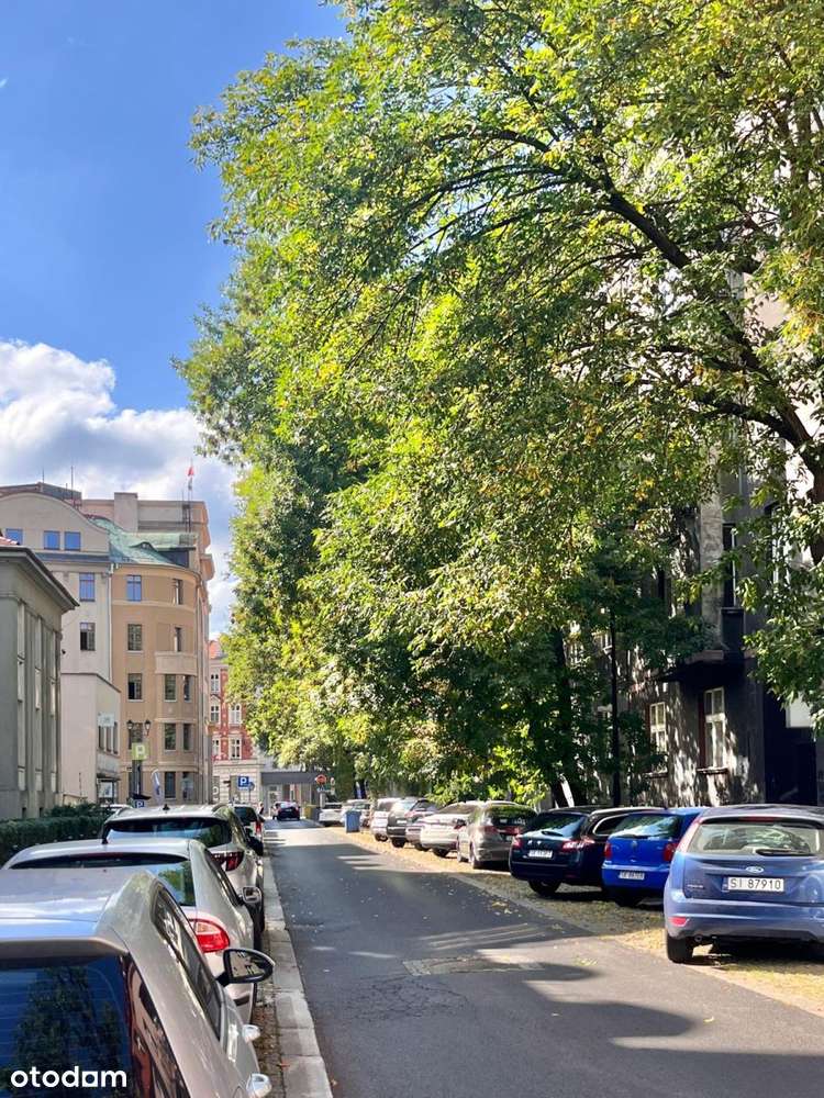 Lokal usługowy do generalnego remontu-6