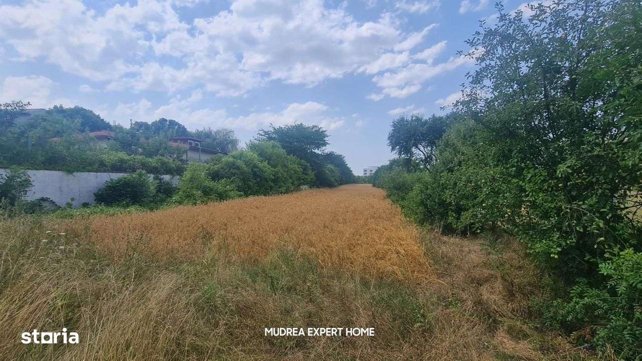 Nou | Teren Intravilan Impecabil | 2500 mp | Snagov - Imagine principală: 4/14