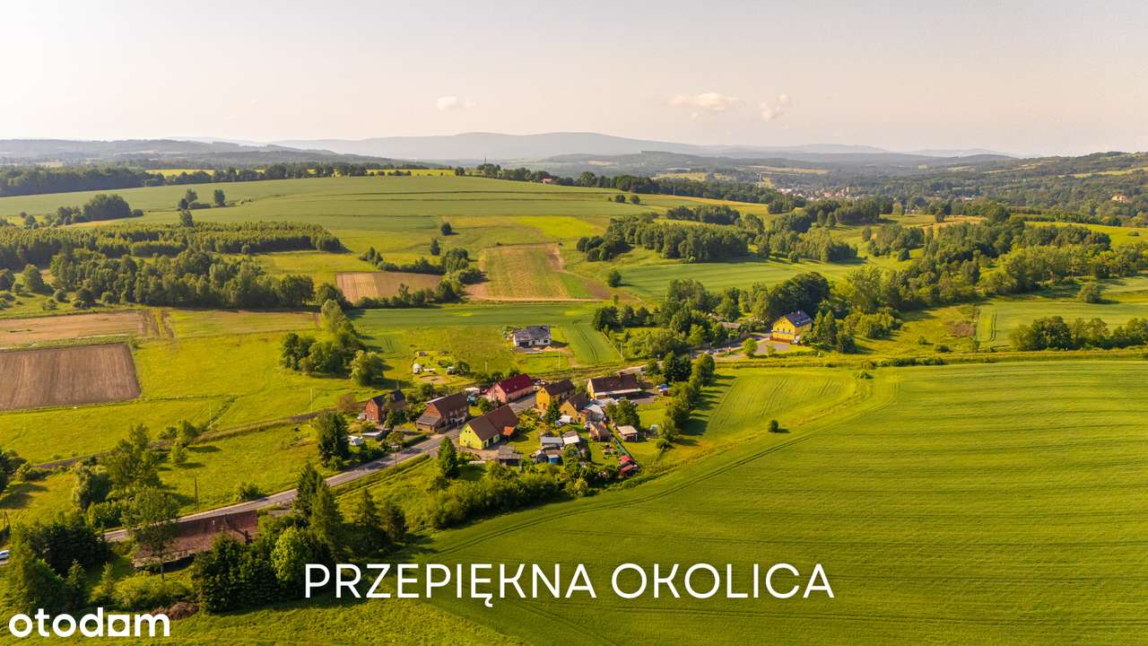 Dom, hotel, mieszkanie, ogródek. Restauracja na trasie Leśna - Lubań. - Pełny obrazek: 4/20