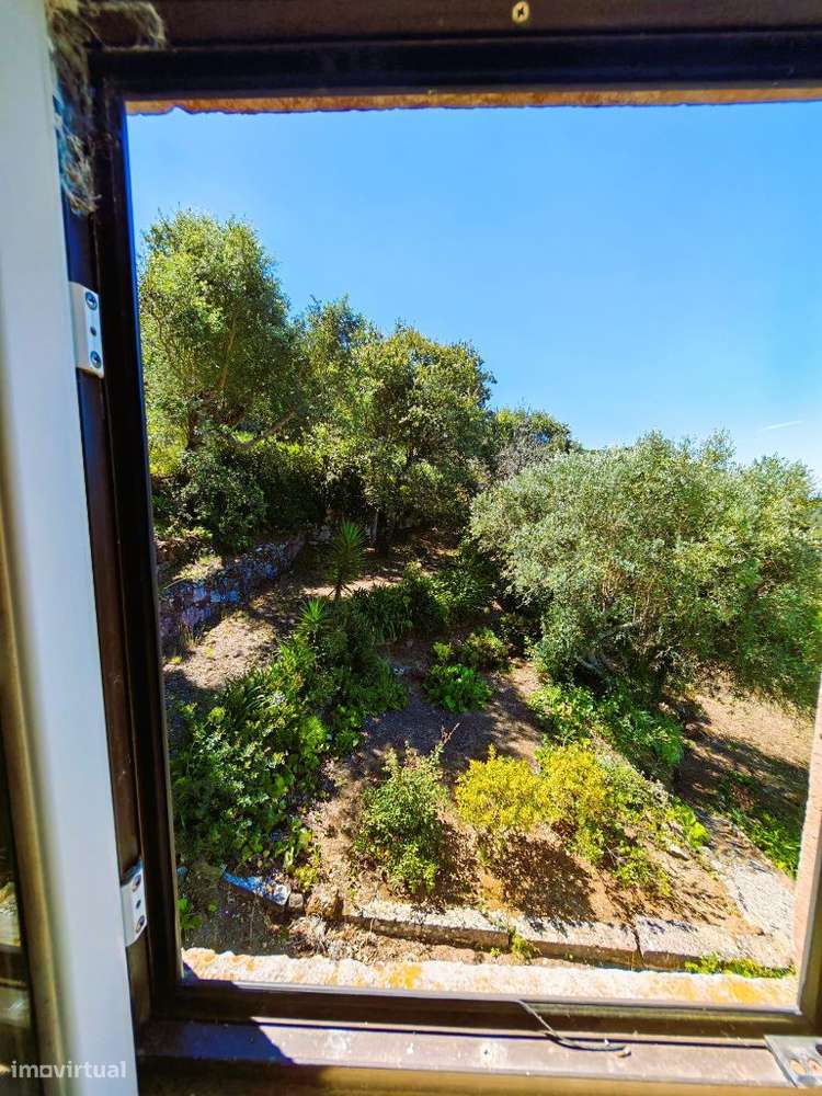 Quinta com muita privacidade, a 11 minutos do centro da Ericeira-19