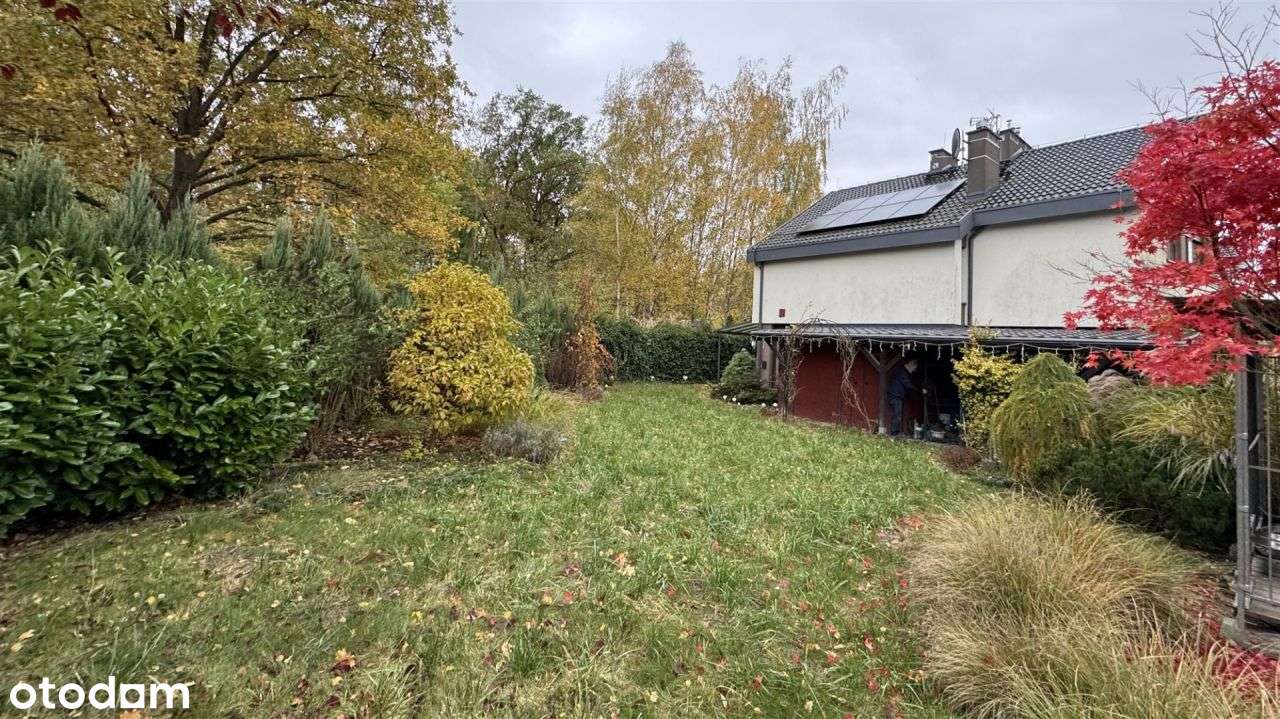 Bliniak, ładna działka, spokojna okolica - Pełny obrazek: 5/20