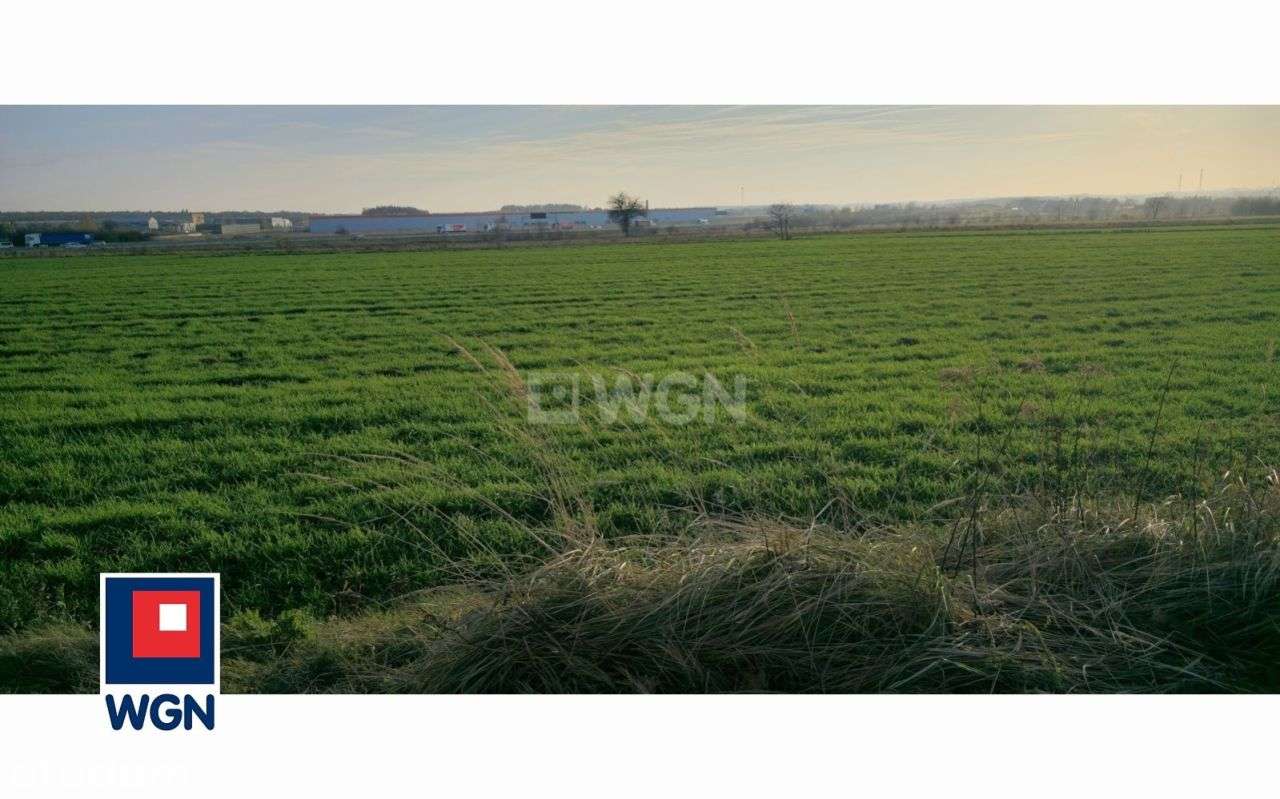 NOWA CENA! Działki inwestycyjne Natolin - Pełny obrazek: 2/6