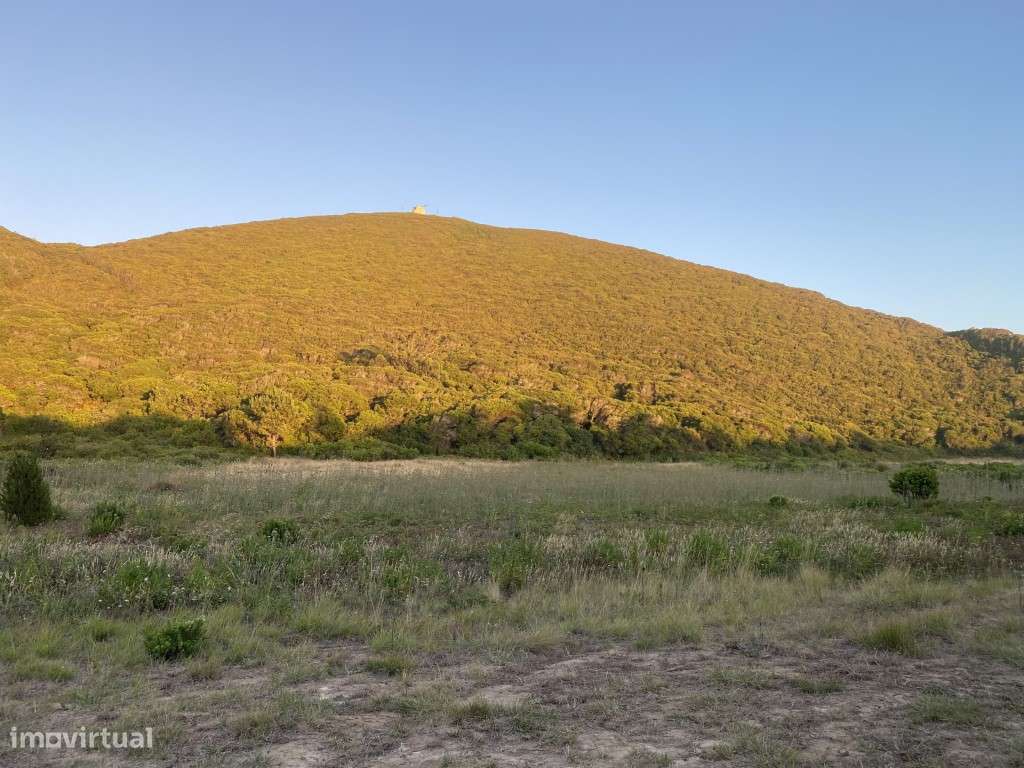 Terreno agrícola localizado na Serra da Pescaria,São Gião - Grande imagem: 5/6