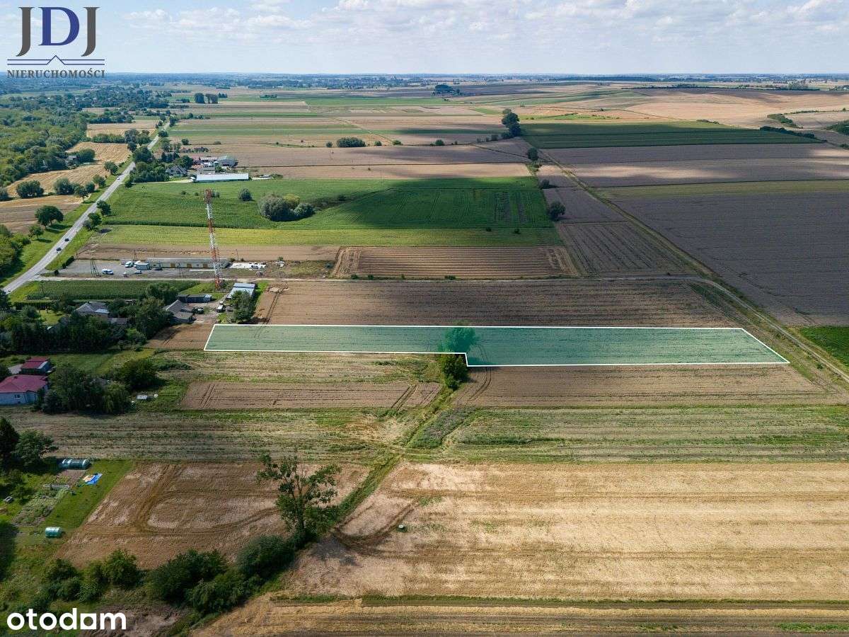 Działka rolna 79 ar. Strzyżów. Horodło. Lubelskie - Pełny obrazek: 5/10