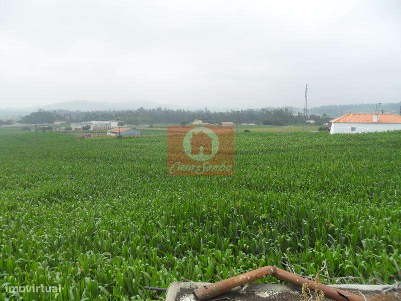 Quinta, para venda, Póvoa de Varzim - Rates - Grande imagem: 4/12