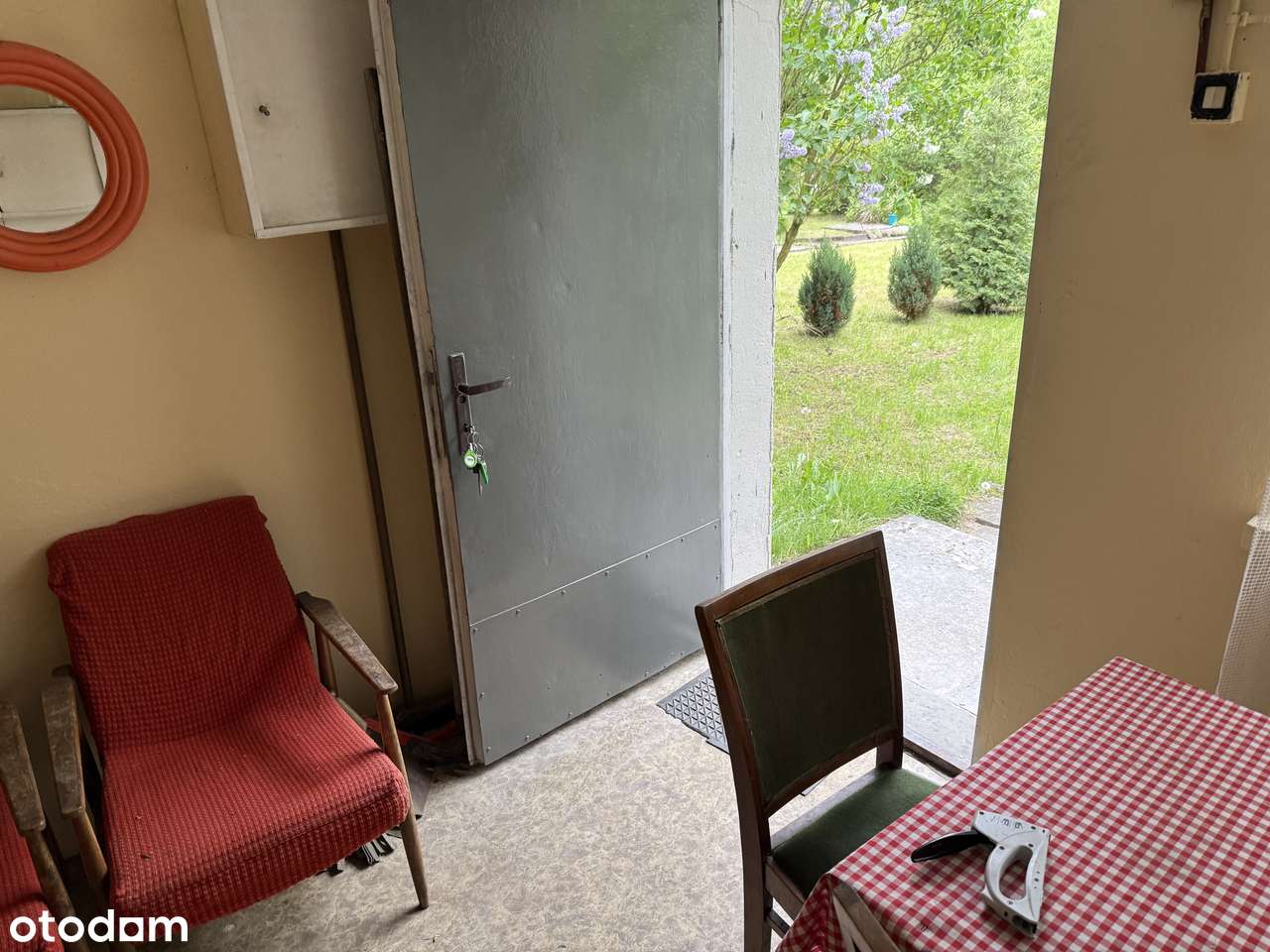 Ogródek działkowy ROD Wieczorek - Pełny obrazek: 4/7