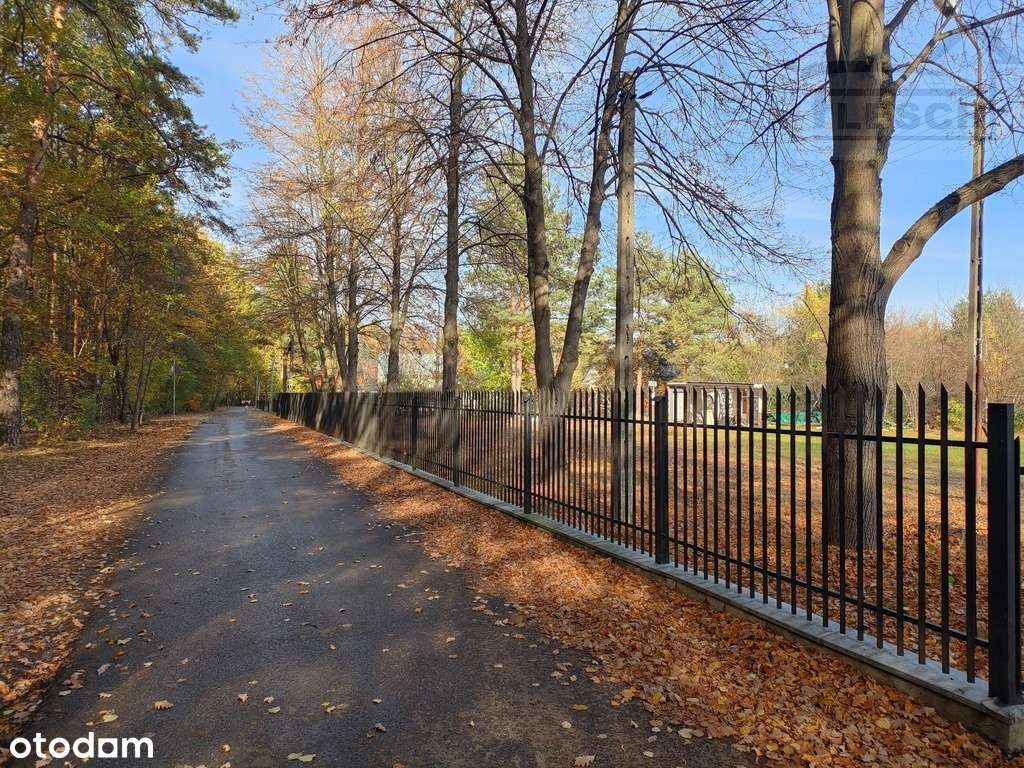 Działka przy lesie w Rozalinie - Pełny obrazek: 4/9