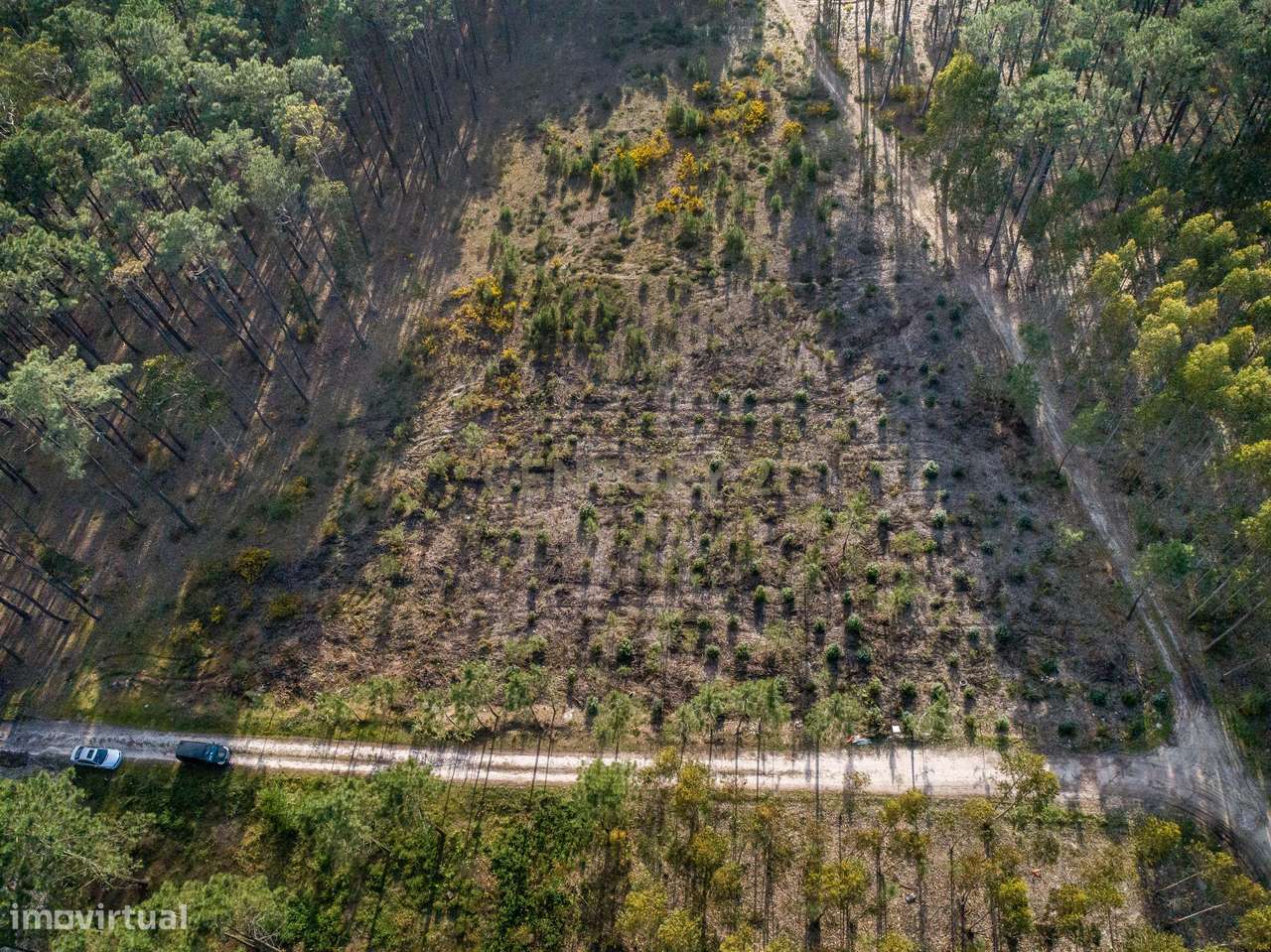 TERRENO INDISTRIAL - MACEIRA - Grande imagem: 2/4