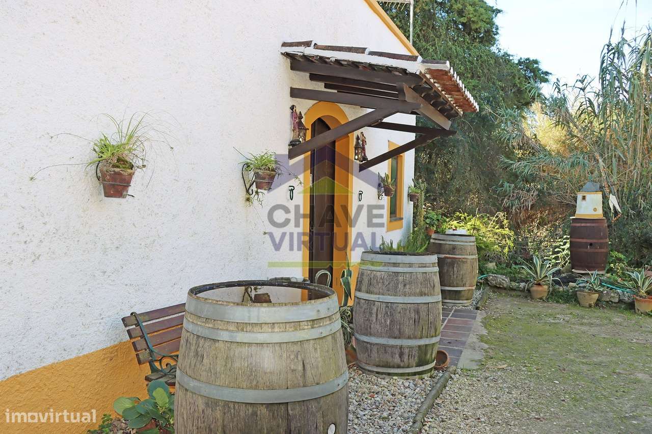 Magnífica Quinta c/ 10.490 m2 Concelho Cadaval-22