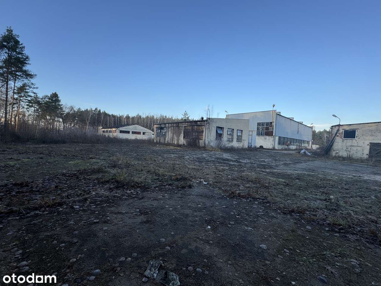 Magazyny od 60 m² do ponad 500 m² tylko 4,5zł netto/m2 - Pełny obrazek: 5/14