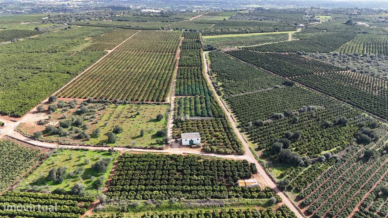 Terreno Rústico  Venda em Alcantarilha e Pêra,Silves - Grande imagem: 4/10