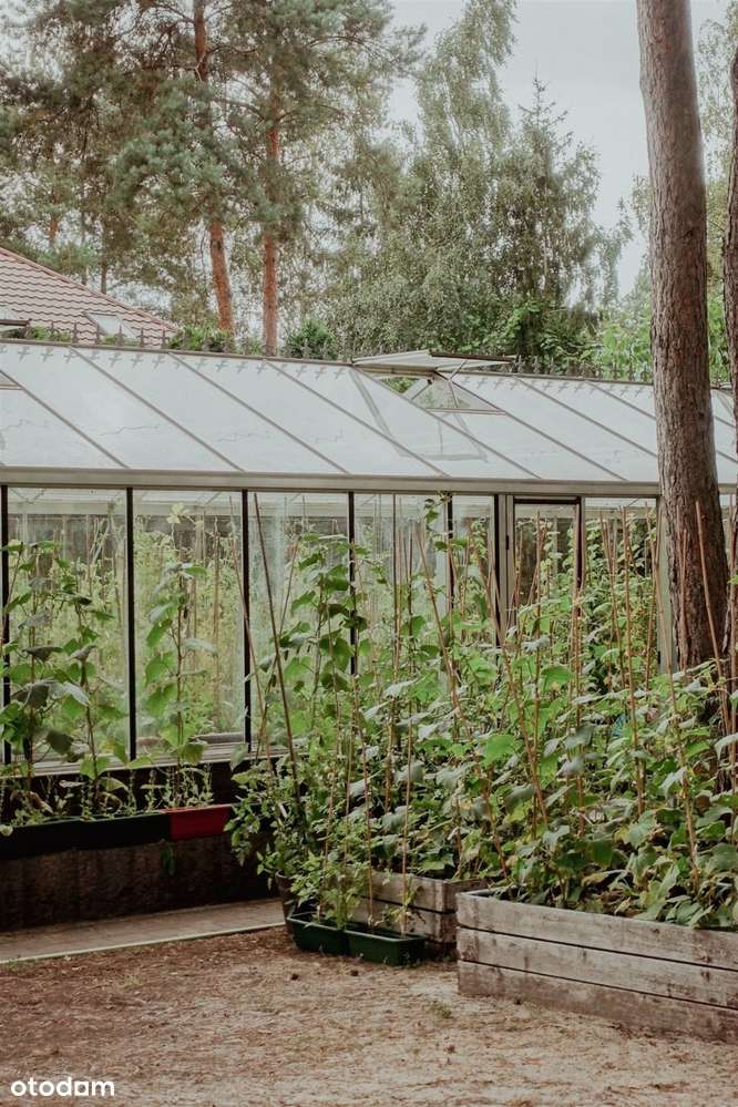 Unikatowa willa do zamieszkania lub pod usługi-12