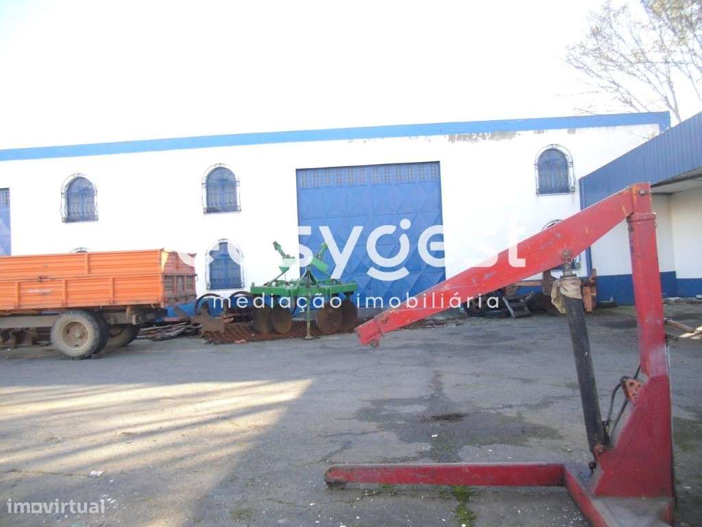 Armazém Industrial na Cabeça Gorda com 845 m2 de construção - Grande imagem: 5/16