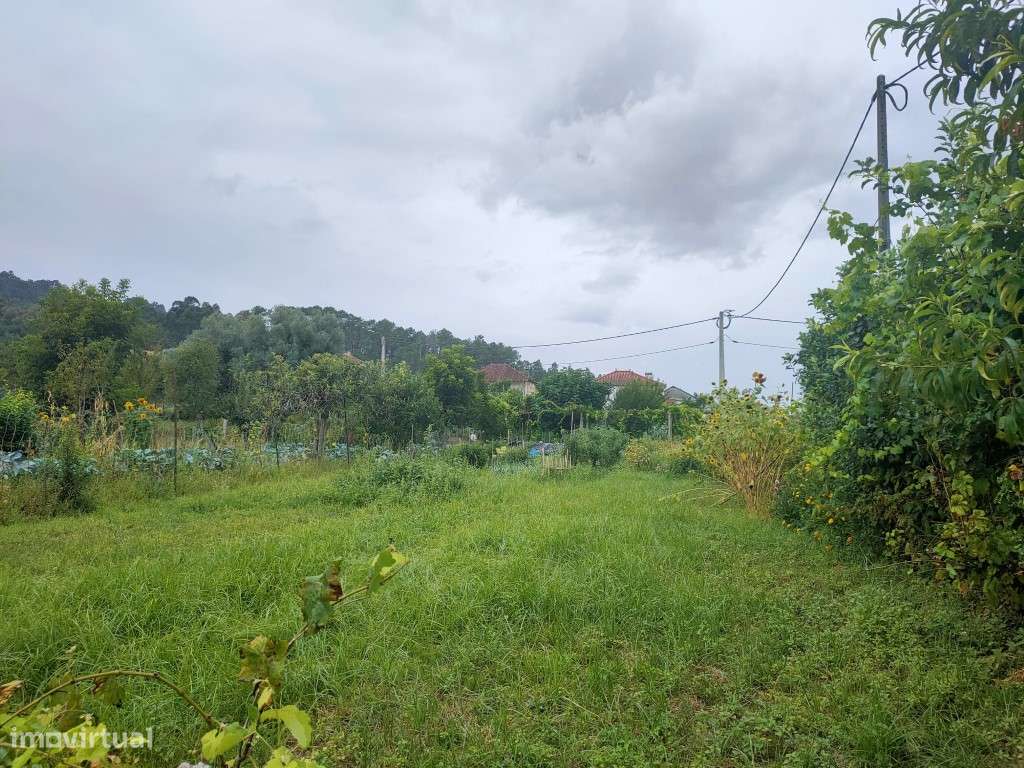 Terreno - Grande imagem: 4/6