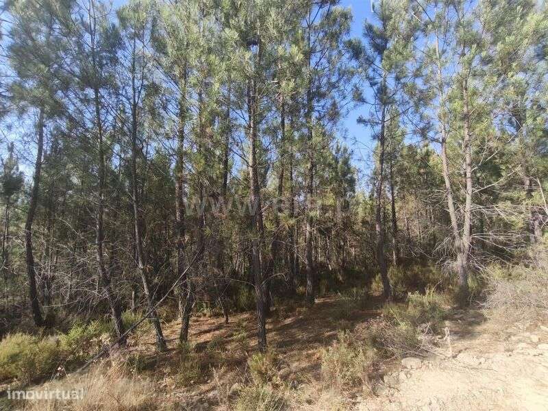 Terreno Rústico / Fundão, Silvares - Grande imagem: 5/7