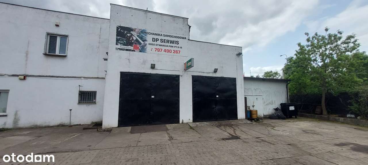 Dziaka inwestycyjna - pod produkcję lub usługi - Pełny obrazek: 2/8