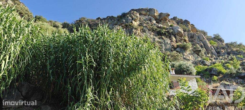 Quinta em Idanha-a-Nova e Alcafozes de 49 m2 - Grande imagem: 5/18