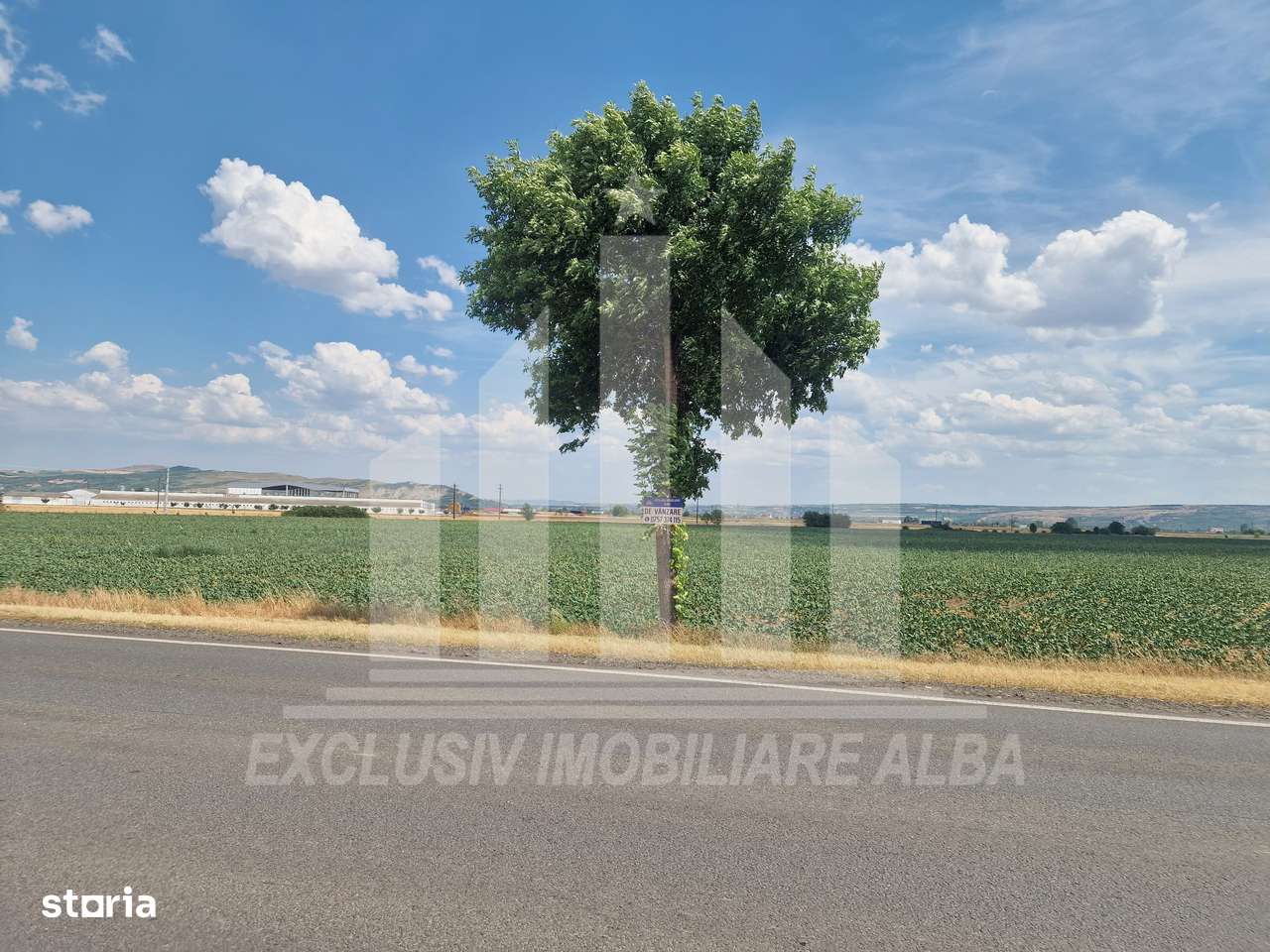 Teren agricol la sosea, pretabil si ptr constructii industriale - Imagine principală: 4/9