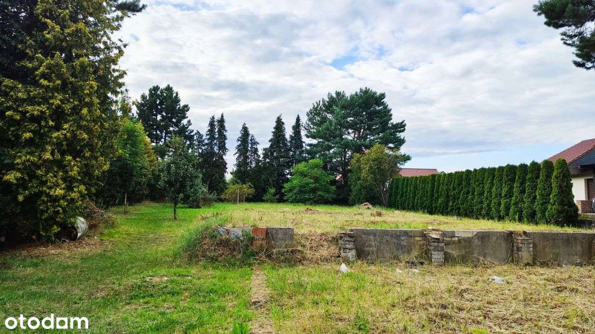 działka w centrum Gruszczyna - Pełny obrazek: 5/10