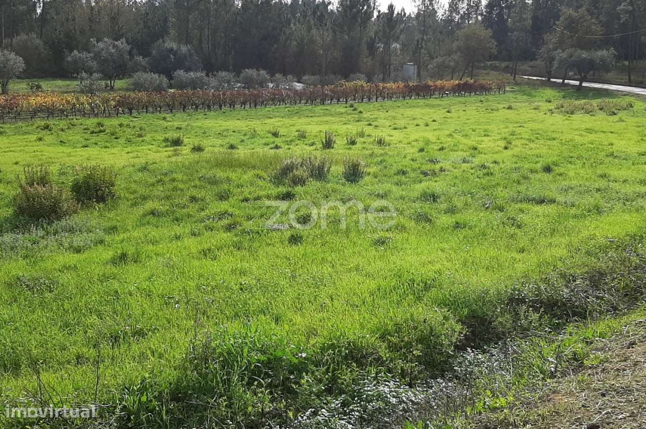 Terreno com comunicação de viabilidade urbanística - Grande imagem: 5/10