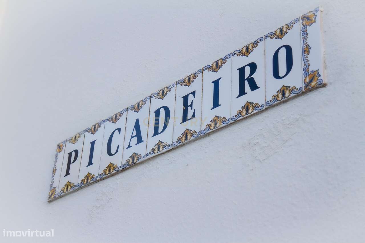 Quinta com um hectare de terreno e Picadeiro coberto em Azeitão - Grande imagem: 3/58