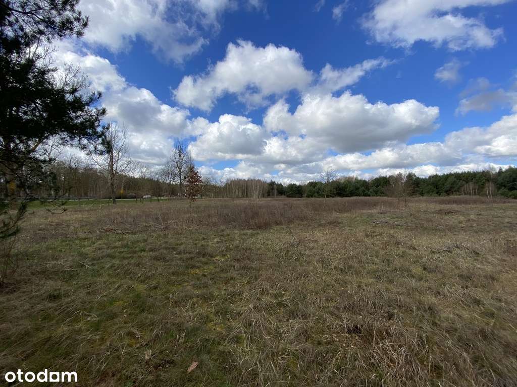 17/17696/OGS - Pełny obrazek: 4/7