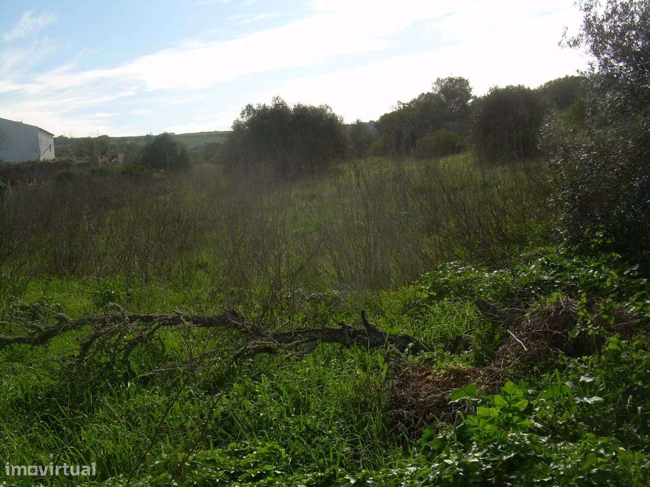 TERRENO RÚSTICO-ALMADENA-LAGOS-ALGARVE - Grande imagem: 3/8