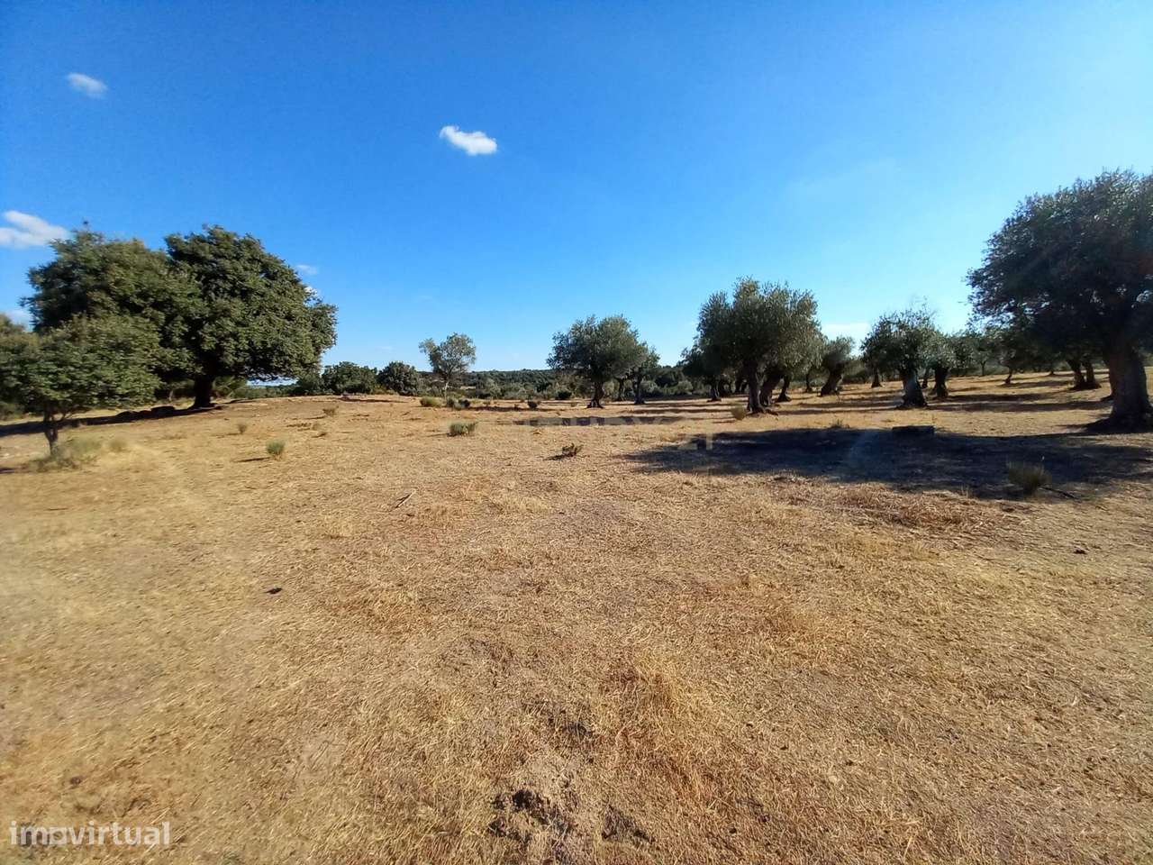 Terreno com Vista Panorâmica em Lardosa, Castelo Branco - Grande imagem: 3/9