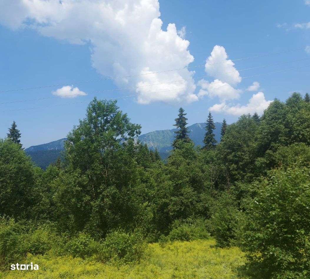 Teren Cioplea Predeal - Imagine principală: 2/6