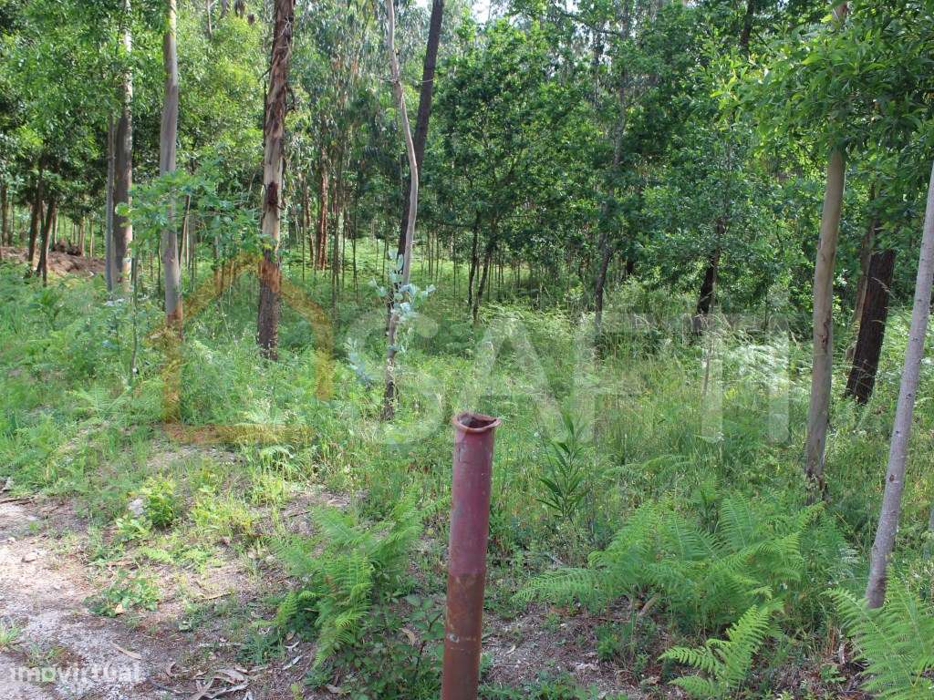 Terreno construtivo - Grande imagem: 4/10